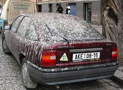 Gówniane miejsce parkingowe